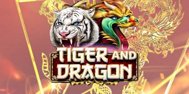 Cách chơi rồng hổ đơn giản nhưng không dễ ăn thưởng