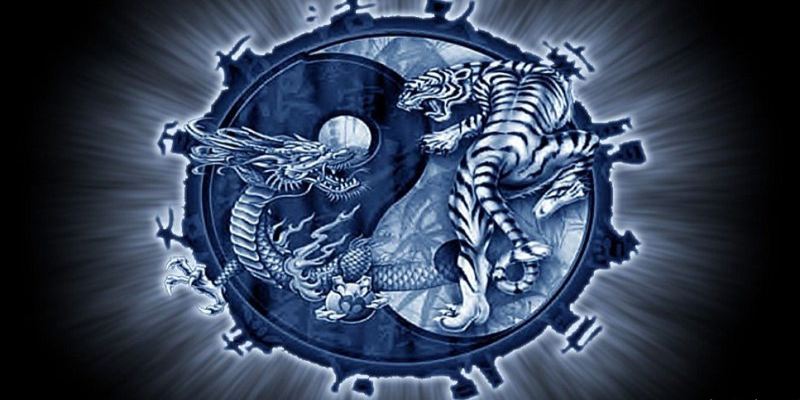 Phân bổ vốn hợp lý sẽ giúp cho người chơi kiểm soát mức cược trong cách chơi rồng hổ